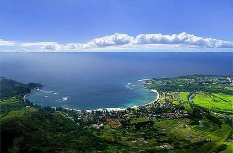 Helicopter view of beautiful Hanalei and the Crescent Beach. Short walk away.