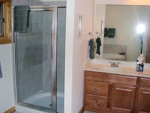 Combined shower/tub, hair dryer, towels