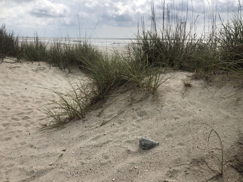 On the beach