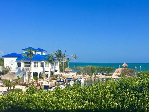 On the beach, sun loungers, beach towels