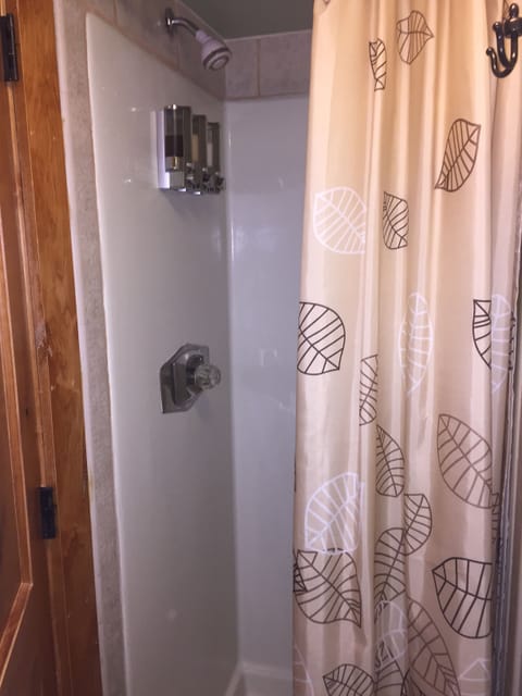 Combined shower/tub, hair dryer, towels, soap