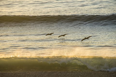 On the beach, sun loungers, beach towels