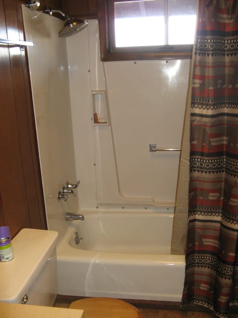 Combined shower/tub, hair dryer, towels, soap