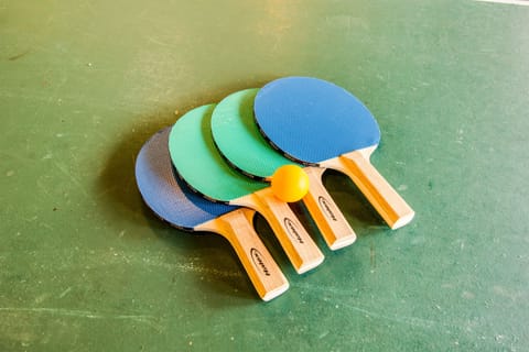 Ping Pong Table in Garage