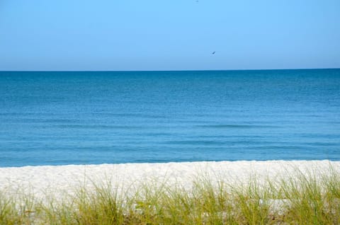 Sun loungers, beach towels