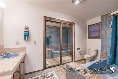 Combined shower/tub, hair dryer, towels