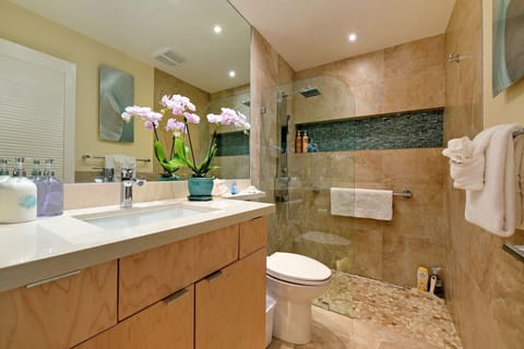 Guest Bathroom with spacious walk in shower