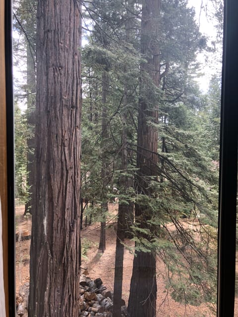 Your view from the bedroom windows.