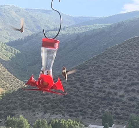 balcony with a view!