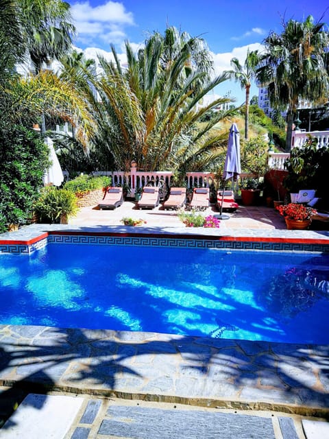 Outdoor pool, sun loungers