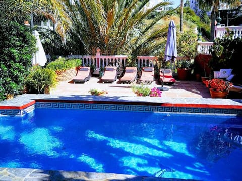 Outdoor pool, sun loungers