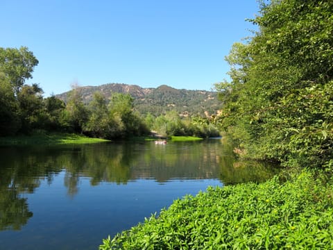 Scene from Secret Beach