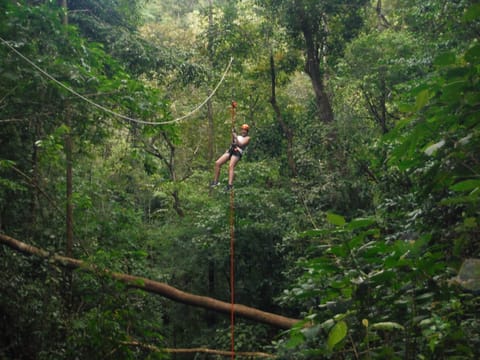 Zip line tour