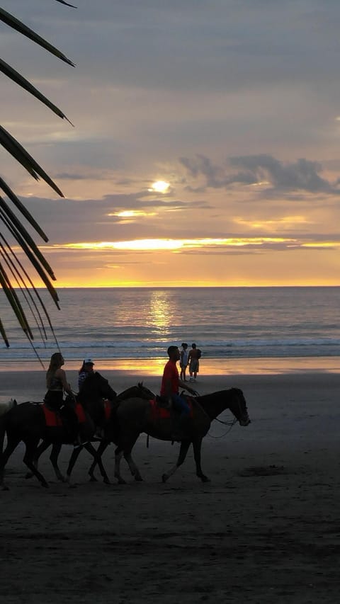 Horseback riding on the beach