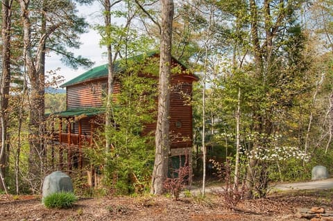 3 level western cedar log home on the Broad river with long range views