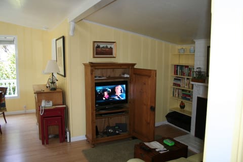 Smart TV, fireplace, DVD player, books