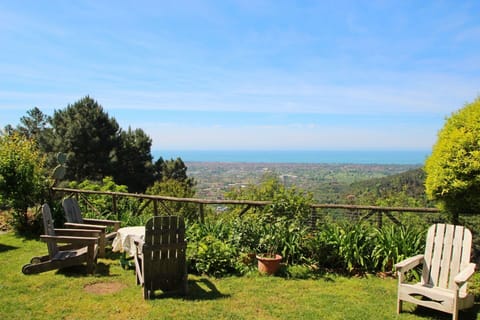 Building Exterior, Garden