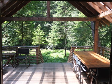 Rear deck with custom post and beam cover, skylights and custom picnic table