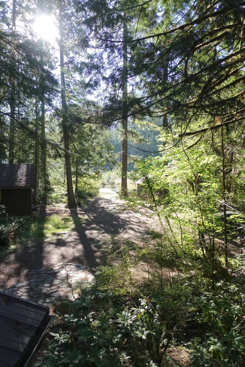 View of Sandy river from bunk room