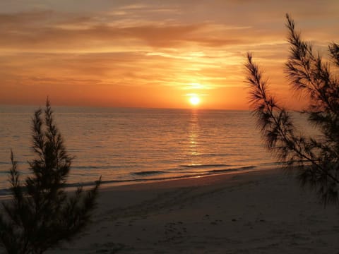 On the beach, sun loungers, beach towels