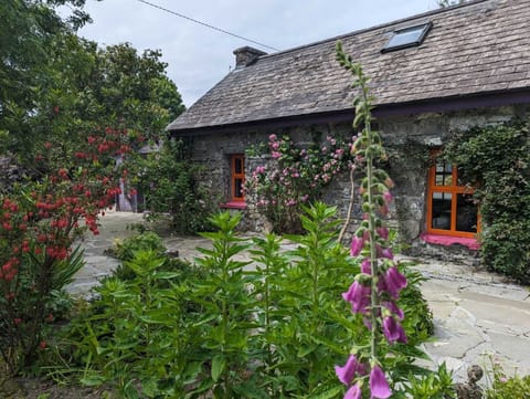 Aisling cottage in the heart of the Burren along the Wild Atlantic Way