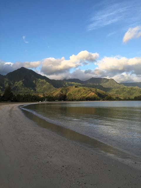 Beach nearby, sun loungers, beach towels