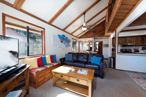 Main Living, Kitchen and Dining Spaces - Wood Burning fireplace (wood provided), TV and 2 pull out couches (queen)