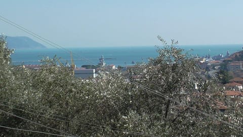 Beach/ocean view