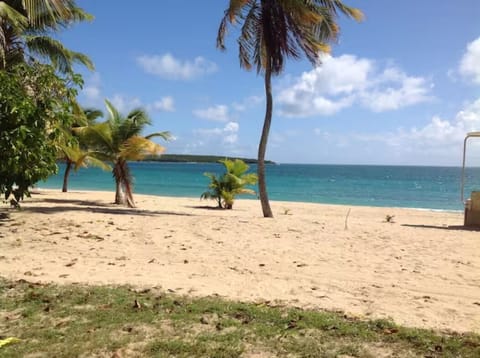 Sun loungers, beach towels