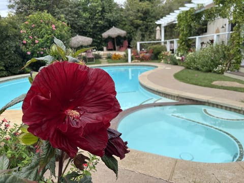 Outdoor pool, a heated pool