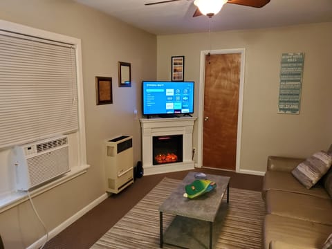 Smart TV, fireplace, DVD player, video library
