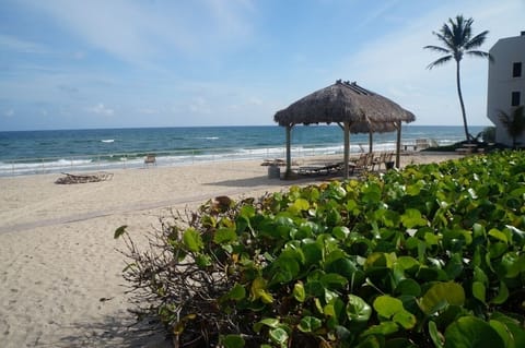 300 ft private beach | Cabanas Nov-Apr | Stairway to ocean beach