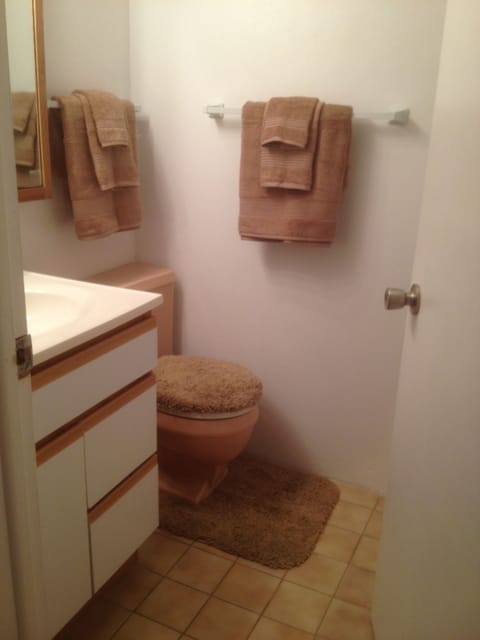 Towels, soap, shampoo, toilet paper