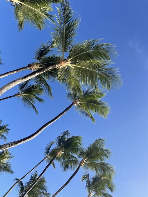 Beach nearby, sun loungers, beach towels