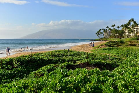 Beach nearby, sun loungers, beach towels