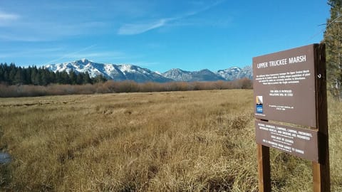 Short walk to the marsh