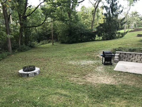 Backyard w/fire pit and barbecue gas grill