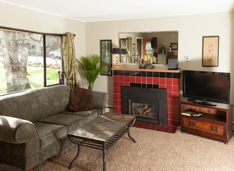 Smart TV, fireplace, books