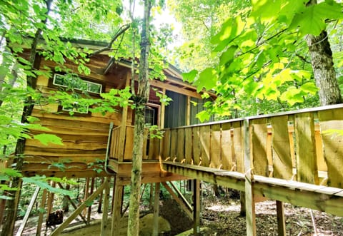 The Dove Treehouse