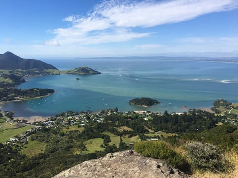 View from Mt Manaia 