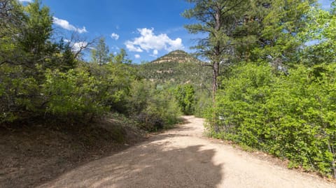 Privacy and Seclusion