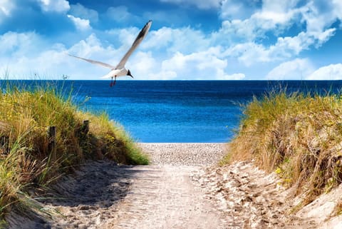 Beach nearby, sun loungers