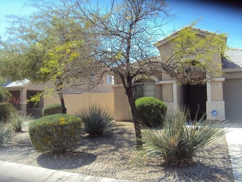 Front Yard
