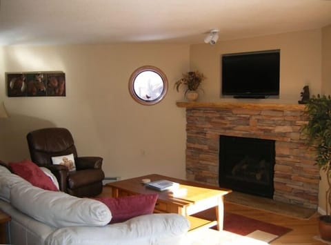 TV, fireplace, DVD player, video library