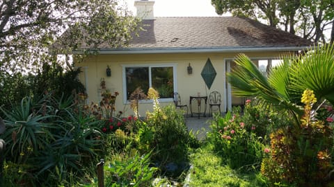 The Cottage!