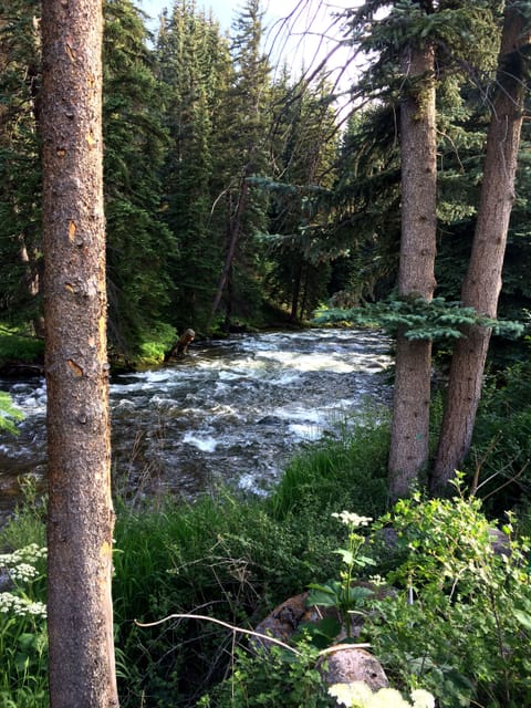 Water's Edge view of Gore Creek in the summer!