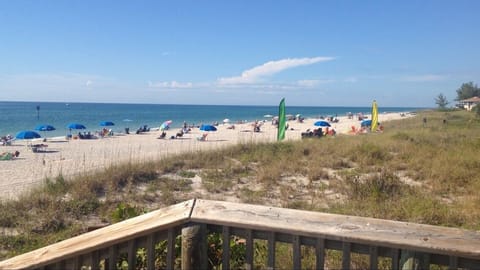 Sun loungers, beach towels