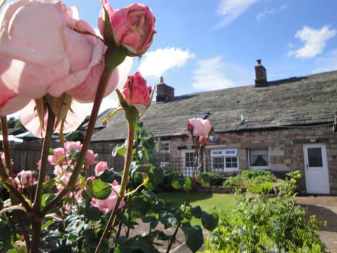 Cottage back garden - fully enclosed