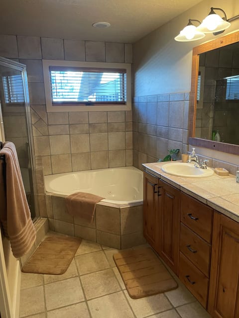 Combined shower/tub, hair dryer, bidet, towels