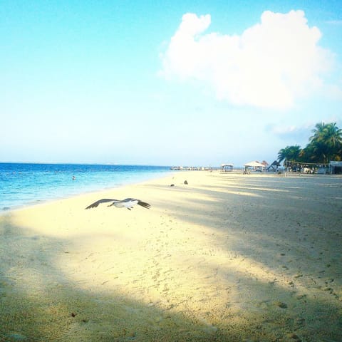 Beach towels